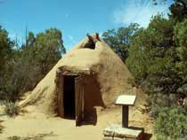 hogan (female version)