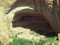 Betatakin - the ancient village