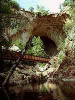 the wooden foot-bridge of the Gowan Loop Trail