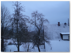 DSC03365