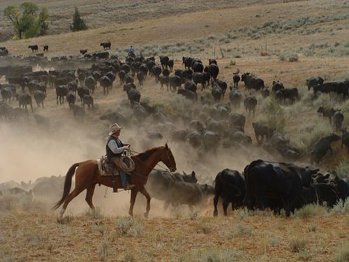 Dryhead Ranch, Montana, 2003